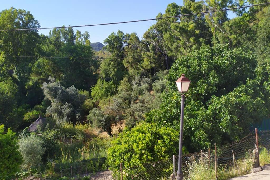 Vivienda Majaceite Daire El Bosque Dış mekan fotoğraf