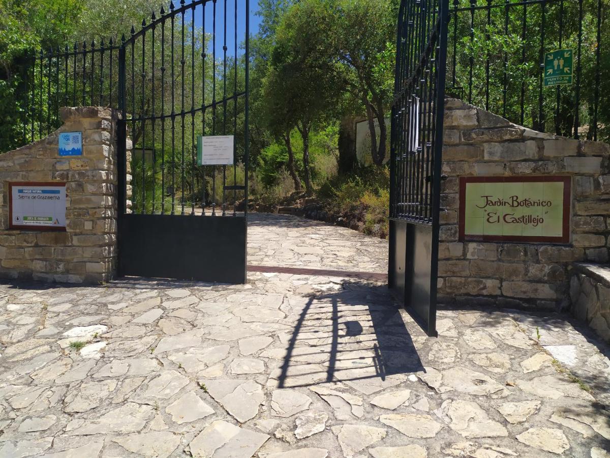 Vivienda Majaceite Daire El Bosque Dış mekan fotoğraf