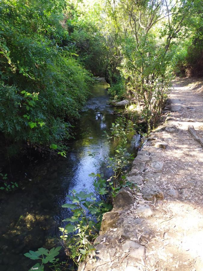 Vivienda Majaceite Daire El Bosque Dış mekan fotoğraf